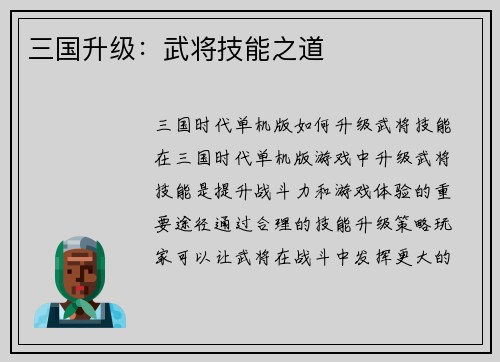 三国升级：武将技能之道